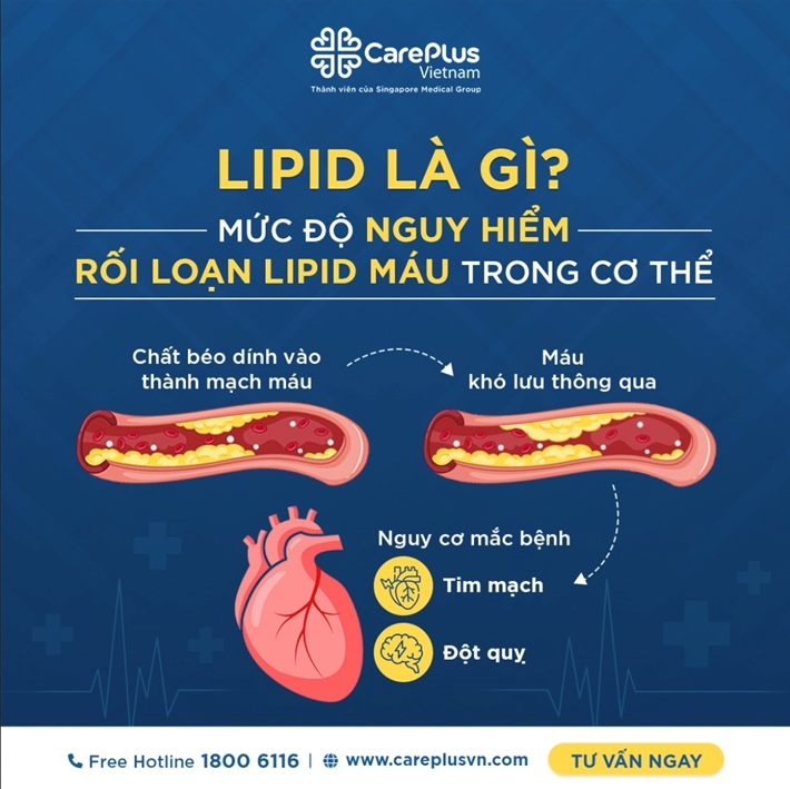 LIPID LÀ GÌ? MỨC ĐỘ NGUY HIỂM RỐI LOẠN LIPID MÁU TRONG CƠ THỂ