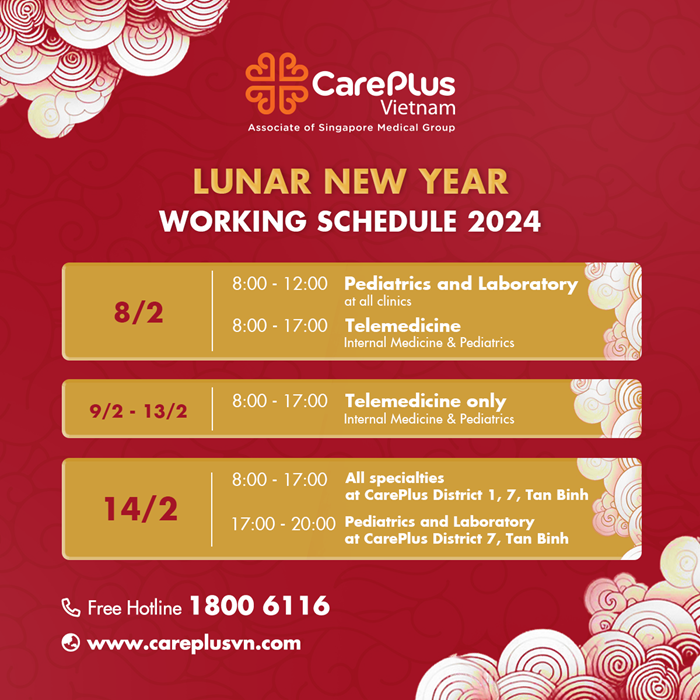 WORKING SCHEDULE ON LUNAR NEW YEAR 2024