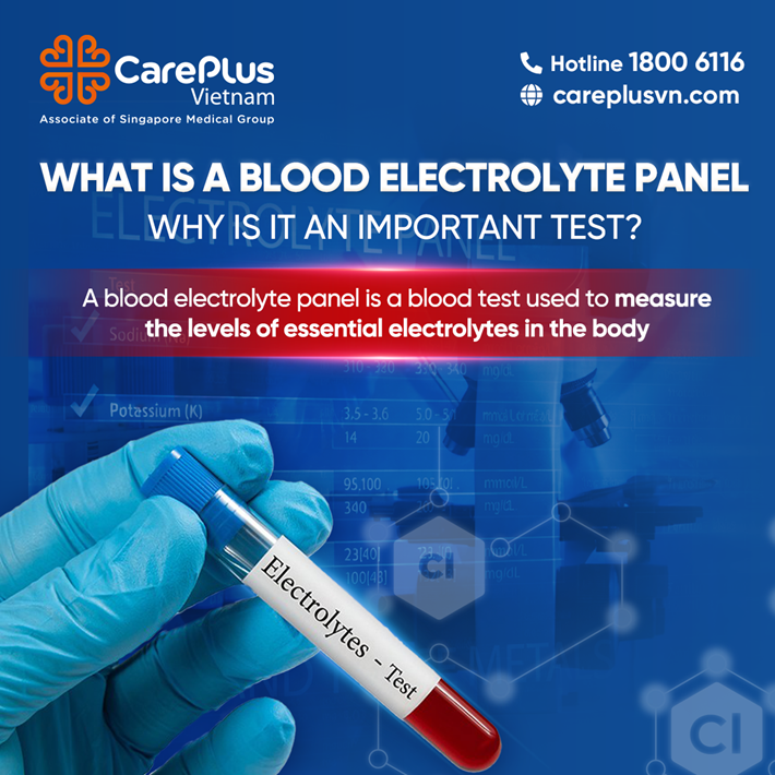 WHAT IS A BLOOD ELECTROLYTE PANEL? WHY IS IT AN IMPORTANT TEST? 