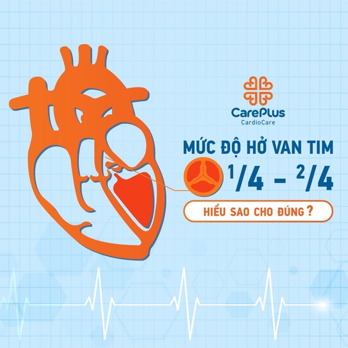 Heart valve disease 1/4, 2/4,... How to understand correctly?