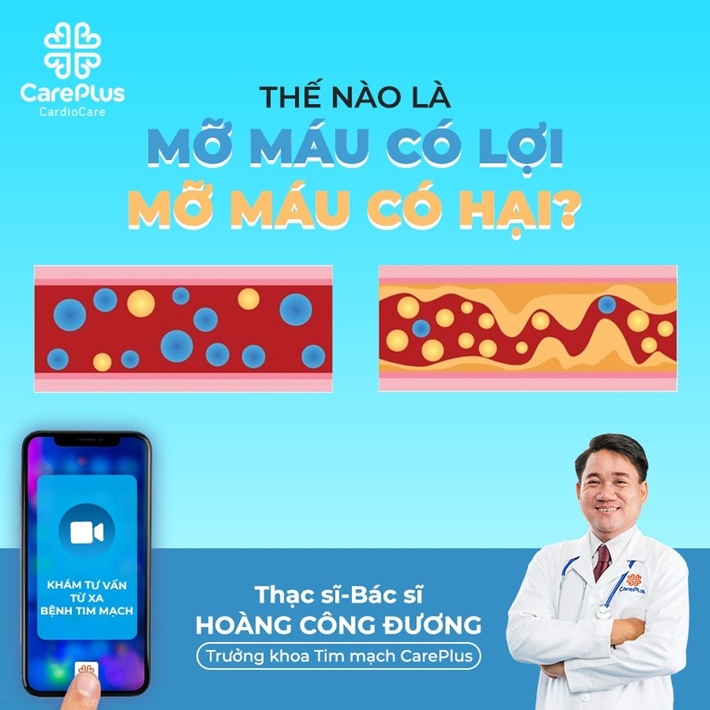 Thế nào là mỡ máu có lợi - mỡ máu có hại