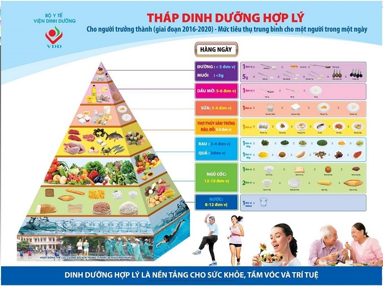 Tháp dinh dưỡng