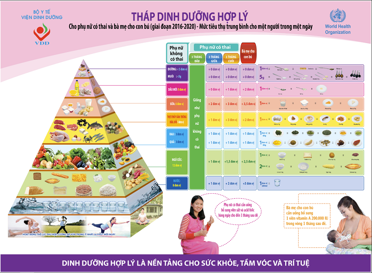 Tháp dinh dưỡng